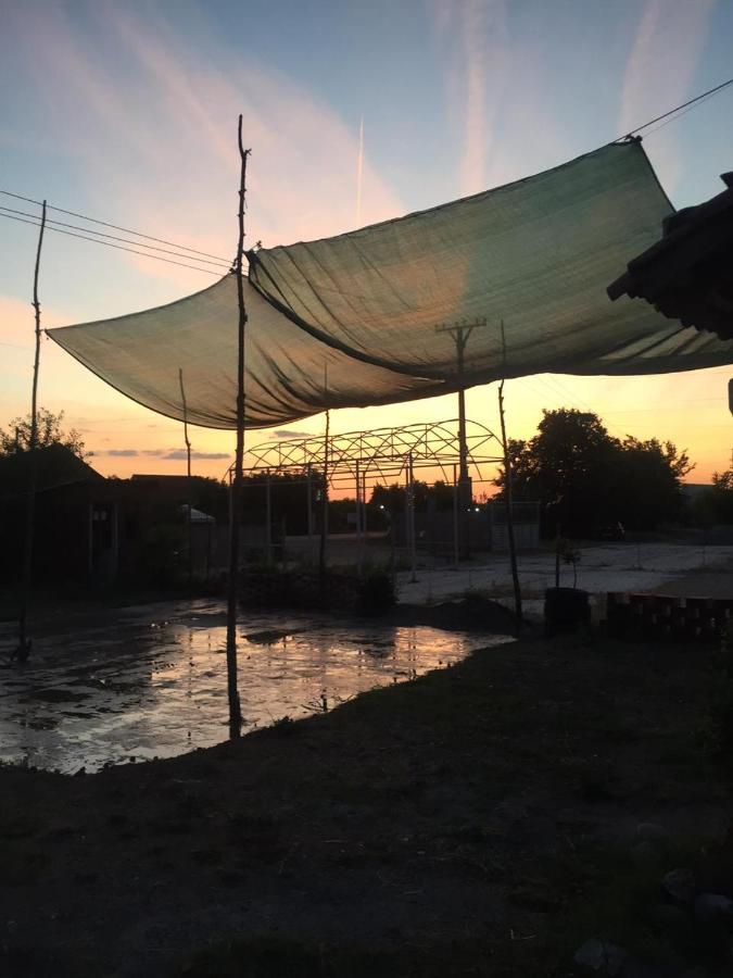 Anza Camping Shkodra Kültér fotó