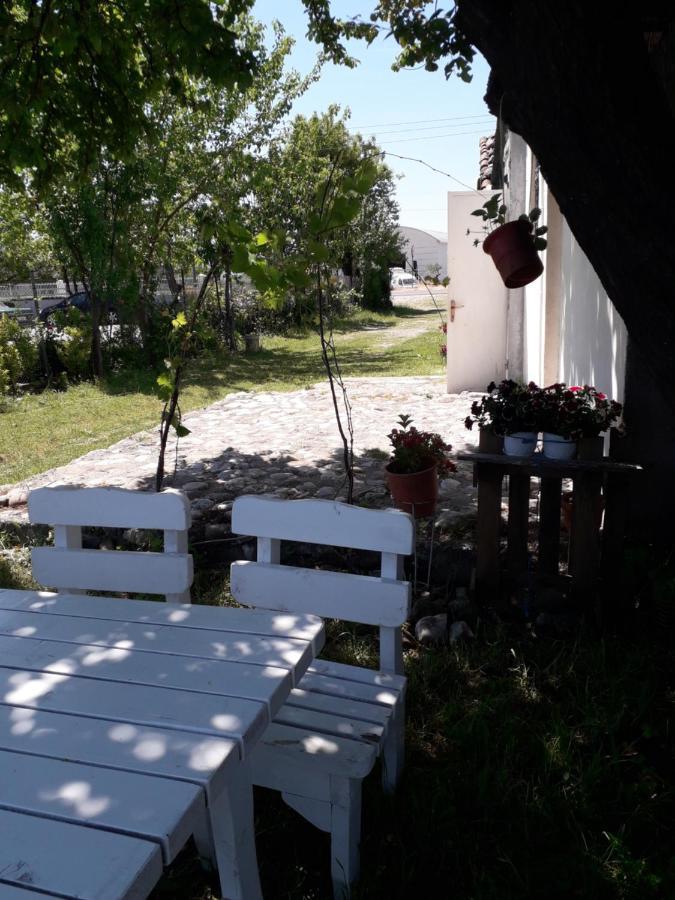 Anza Camping Shkodra Kültér fotó