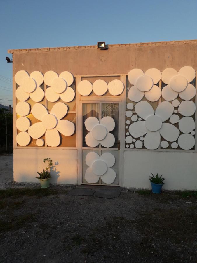 Anza Camping Shkodra Kültér fotó